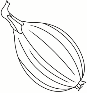Onion coloring pages | Free Coloring Pages