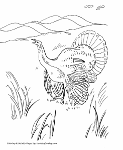 Thanksgiving Coloring Pages - Wild Turkey Thanksgiving Coloring