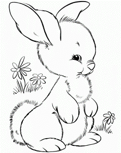 Rabbit Look Up Coloring Pages - Rabbit Coloring Pages : Girls