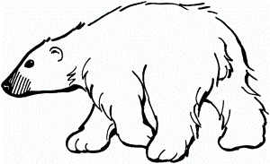 Polar Bear Coloring Page - Coloring For KidsColoring For Kids