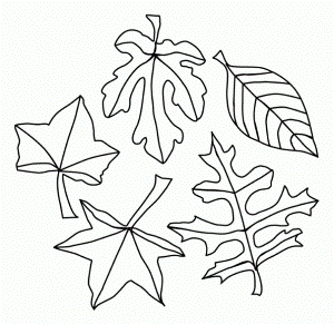 Coloring Pages Of Fall Leaves - Free Printable Coloring Pages