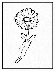 Flowers Coloring Pages 2 - Flower Maria