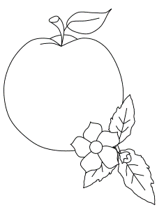 amazing apple coloring pages for kids | Best Coloring Pages