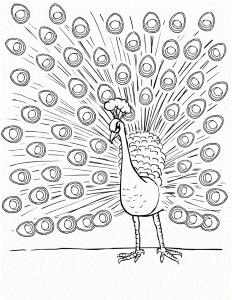 Animal Peacock Coloring Pages Pictures Peacock Pictures To Color
