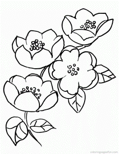 Apple Blossom Branch Coloring Pages | Free Printable Coloring