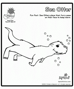 baby sea otter Colouring Pages
