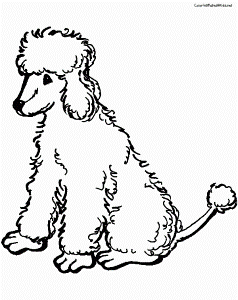 Free Poodle Coloring Page