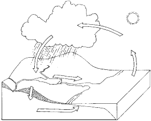 Water Cycle Coloring Page