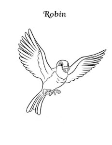 Robin, : Happy Robin Bird Coloring Page | Bird coloring pages, Online coloring  pages, Coloring pages