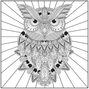 Adult Coloring Pages Owl | Forcoloringpages.com