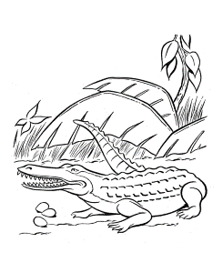 Dinosaur Coloring Pages | Printable Crocodile coloring page sheet