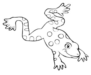 Flying Frog Coloring Page - Free & Printable Coloring Pages For