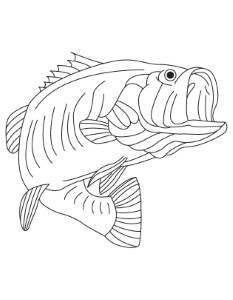 Coloring Pages: bubble guppy coloring pages Bubble Guppy Coloring