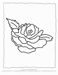 Flower Coloring Sheets rose,Free Printable Flower Coloring Pages