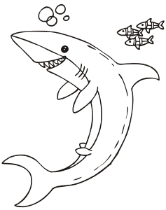 Shark Coloring Page | Shark & Little Fish