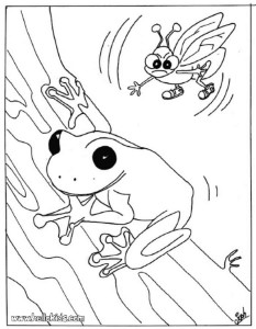 FROG coloring pages : 14 free REPTILES coloring pages & online