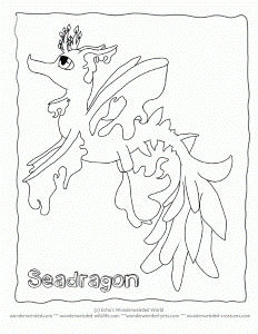Cartoon Coloring Pictures Seadragon, Echo