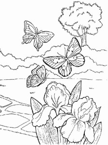 Spring Coloring Pages - Free Printable Coloring Pages | Free