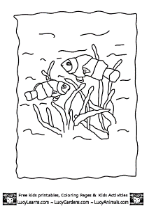 Clown Fish Coloring Pages 67 | Free Printable Coloring Pages