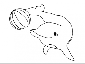 Dolphins Coloring Pages 34271 Label Baby Dolphins Coloring Pages