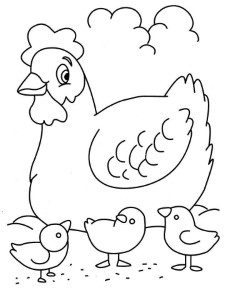 hen coloring sheet 2014