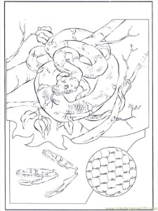 snakes in tree Colouring Pages