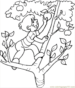 Coloring Pages Boy Coloring Page 14 (Food & Fruits > Apples