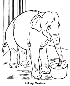 Zoo Animal Coloring Pages | Zoo Elephant Coloring Page and Kids