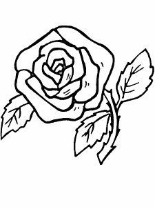 realistic flower coloring pages | Coloring Picture HD For Kids