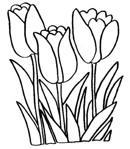 Print Flower Coloring Pages Tulip or Download Flower Coloring