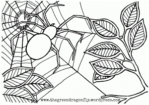 Coloring Sheets | The Green Dragonfly