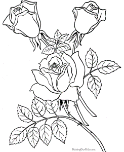 Roses Coloring Page : Printable Coloring Book Sheet Online for