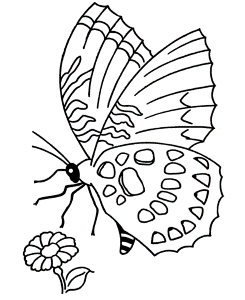 Spring Scenes Coloring Page 17 - Spring Coloring Sheets: Bluebonkers