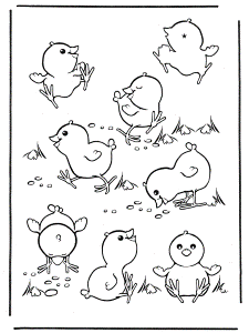 Chick Coloring Pages Printable For Download - Kids Colouring Pages