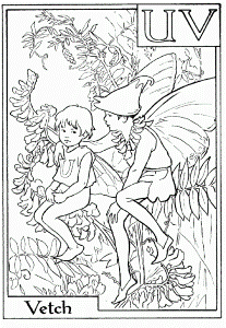 Fairy Printable Coloring Pages Detailed Fairy Printable Coloring