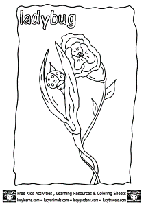 Free Ladybug Coloring Page,Lucy Learns Ladybug Coloring Pages to Print