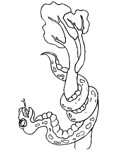 Printable Snake4 Snakes Coloring Pages 