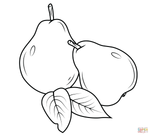 Two Pears coloring page | Free Printable Coloring Pages