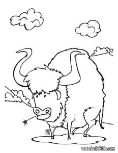 COWBOY coloring pages - Buffalo