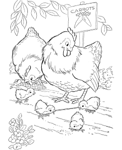 Chicken With Corn Coloring Page - Coloring Pages For All Ages