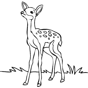 9 Pics of Deer In Forest Coloring Pages - Deer Coloring Pages ...