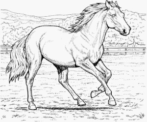Coloring Pages Horses | Free Coloring Pages