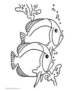Fish coloring book pages 009