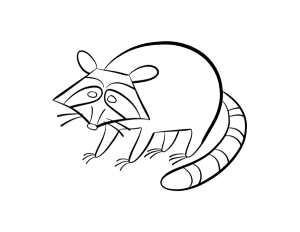 raccoon coloring page | Coloring Picture HD For Kids | Fransus