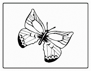 Butterflies-coloring-14 | Free Coloring Page Site