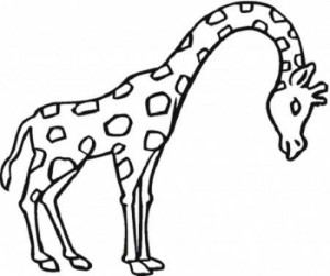 Coloring Pages Giraffe - Kids Colouring Pages