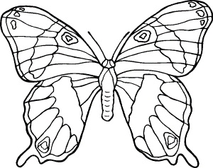 free coloring pages flowers and butterflies | Coloring Picture HD