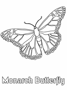 Butterfly Activity Coloring Pages for Kids - Free Printable