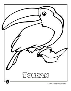 Endangered Animal Coloring Pages 750 | Free Printable Coloring Pages