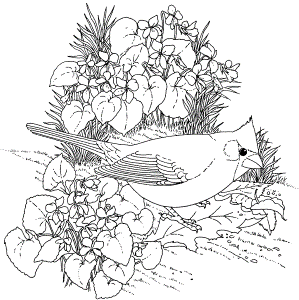 40 Best Nature Coloring Pages for You - VoteForVerde.com